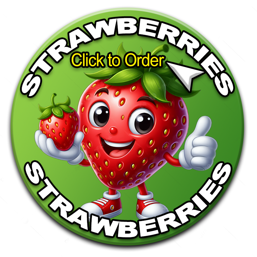 CFM STRAWBERRY NEW BUTTON 2026